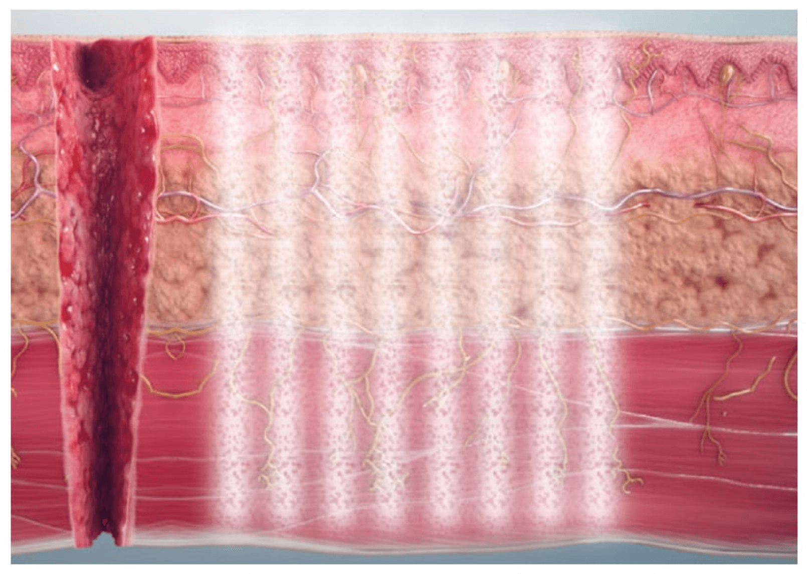 dosage expanded desktop