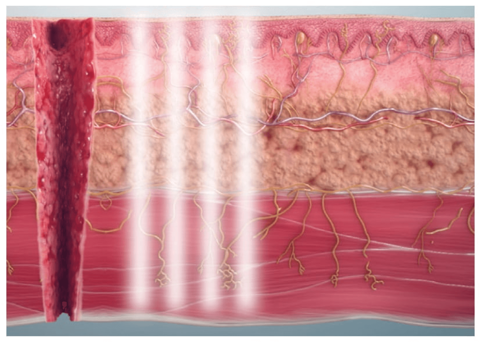 dosage unexpanded desktop